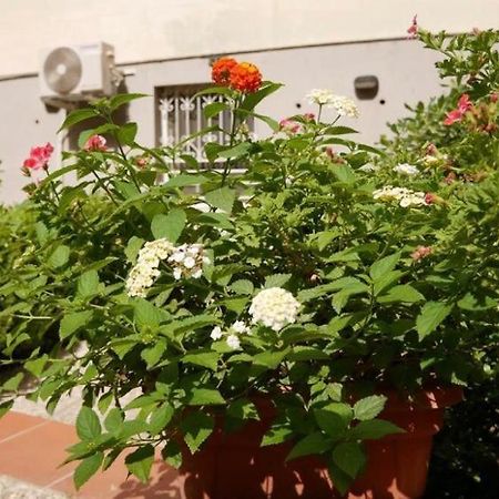 House With Garden And Parking Space In Mergellina Наполи Екстериор снимка