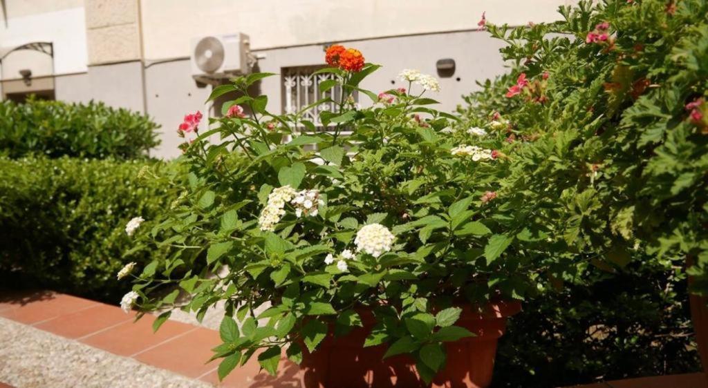 House With Garden And Parking Space In Mergellina Наполи Екстериор снимка